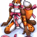 1160555899 micahfennec foxplayribbons