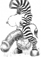 XL-Zebra-Herm