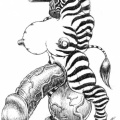 XL-Zebra-Herm