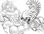 Crouching-Zebra-Sleeping-Lion