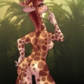 1249501831 Giraffe