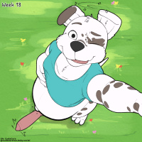 17