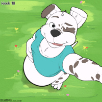 16